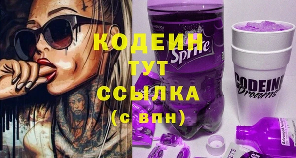 твердый Вяземский