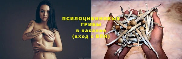 хмурый Волосово