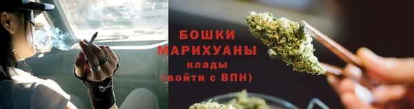 твердый Вяземский