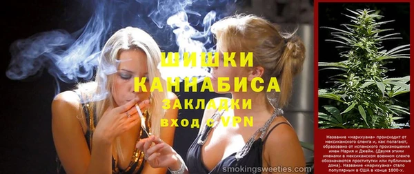 индика Болхов